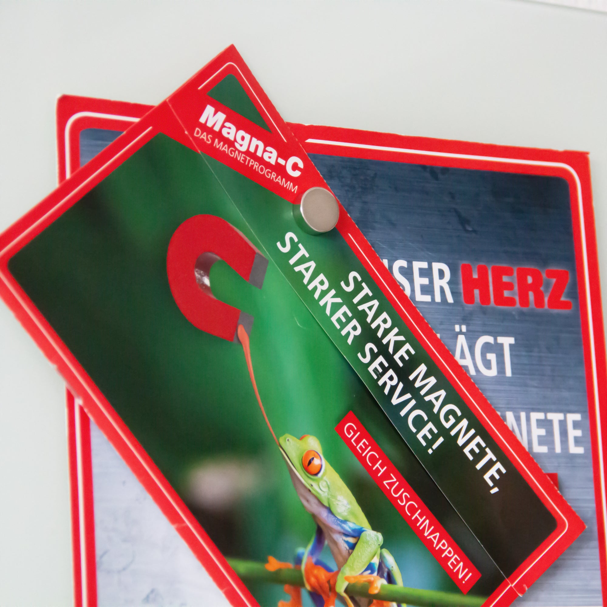 Neodym Scheibenmagnet Ø15x5mm hält mehrere Flyer auf einmal