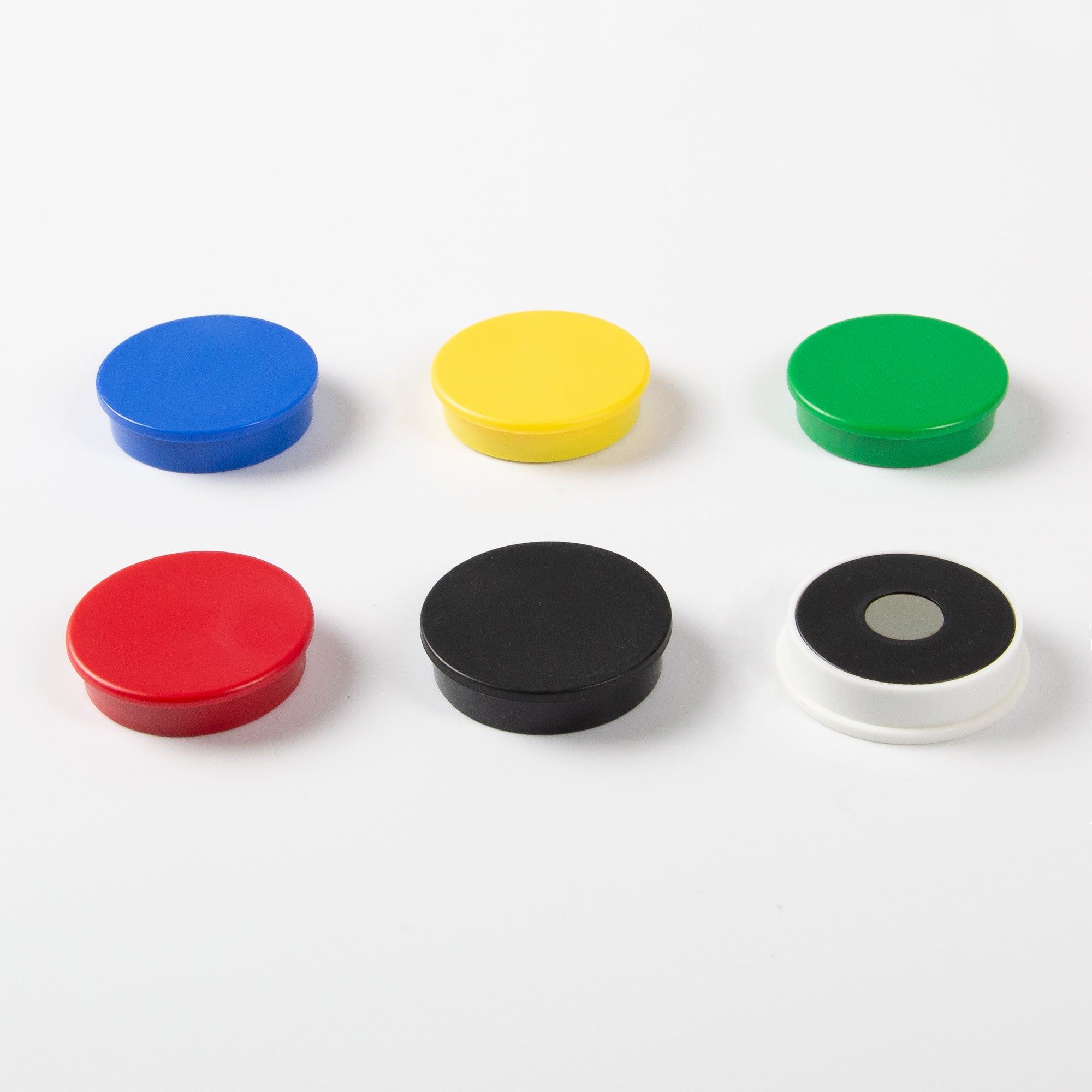 Farbige Magnete mit Neodym Ø36mm