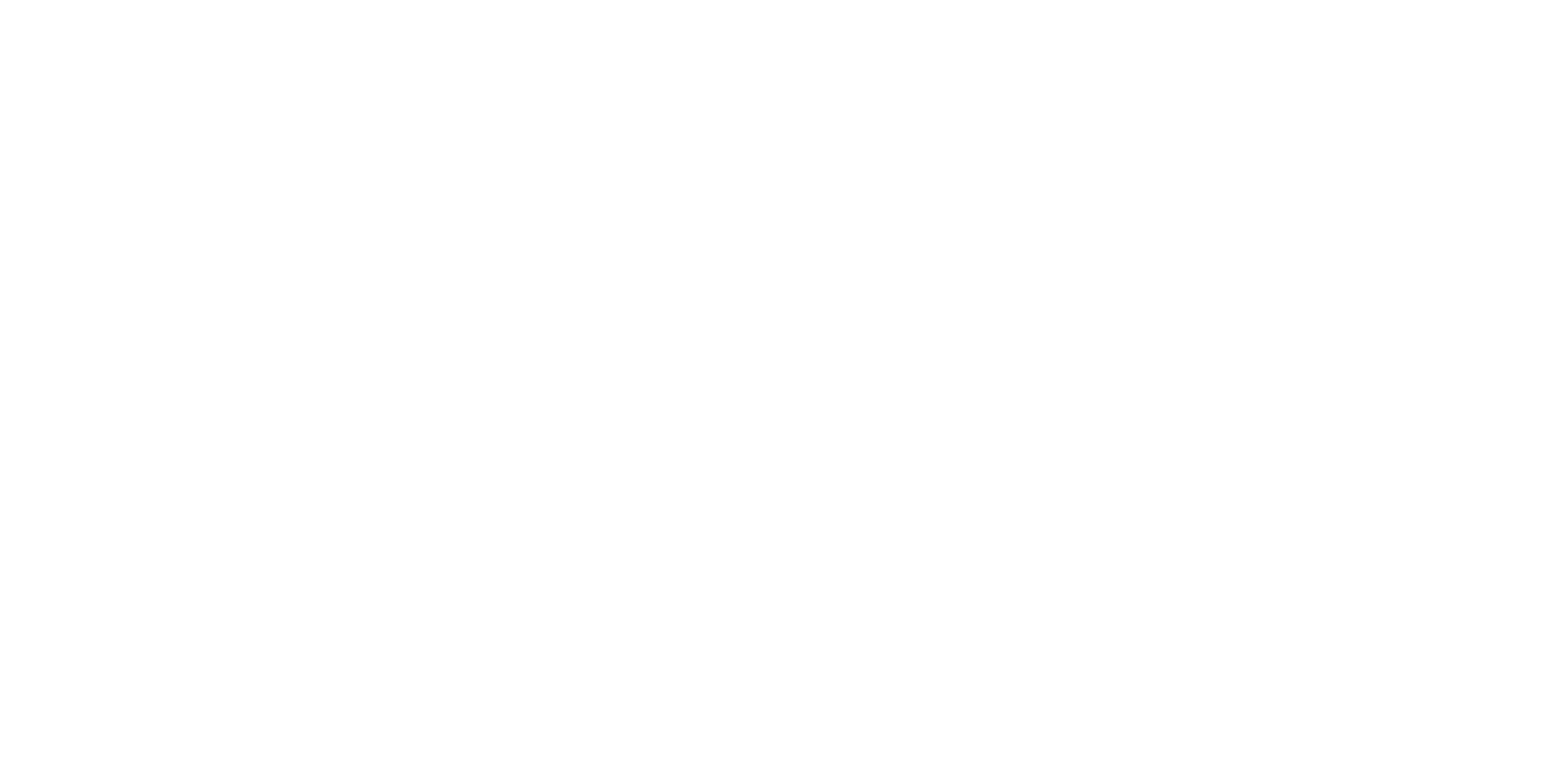 Wanzl_2500
