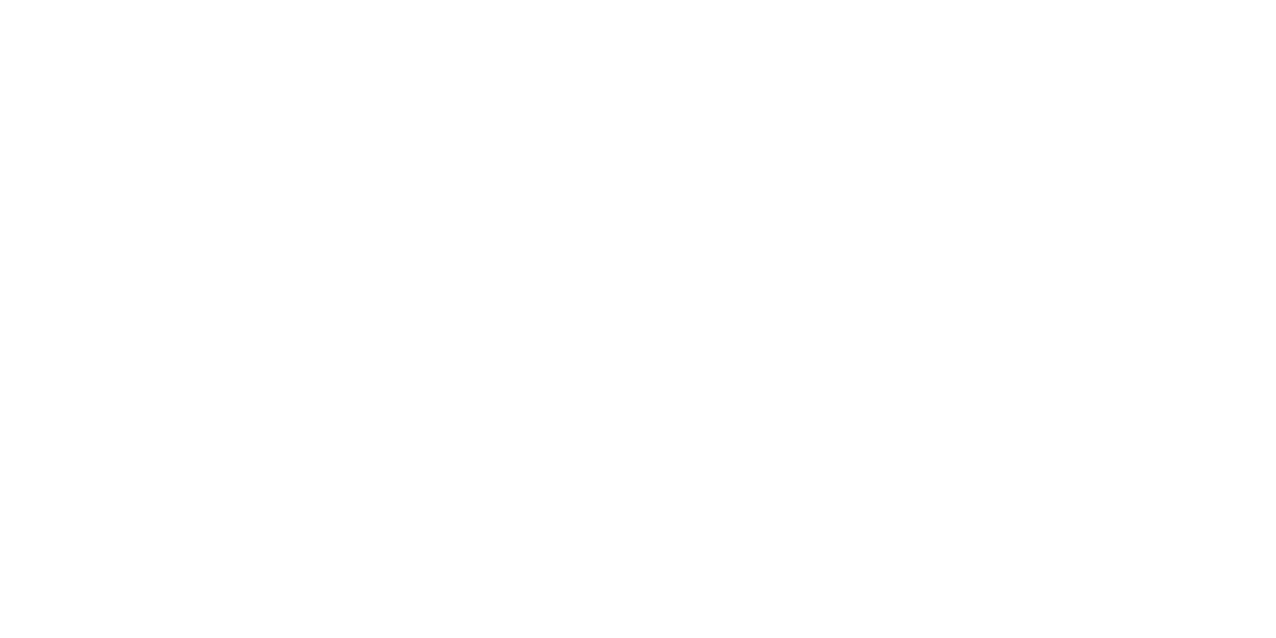 Bosch_2500
